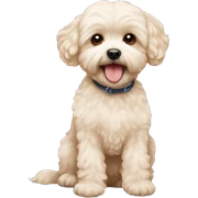 Maltipoo  sticker