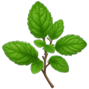 peppermint branch sticker