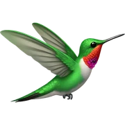 Hummingbird sticker