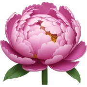 Peony sticker