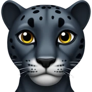 panther sticker