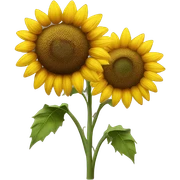 Sunflower  sticker
