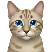 blue eyes cat sticker