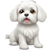 maltese sticker