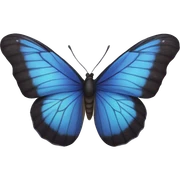 butterfly  sticker