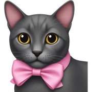 Dark grey cat wearing pink bow sticker