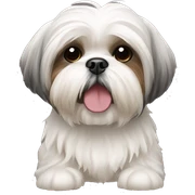 shih tzu sticker