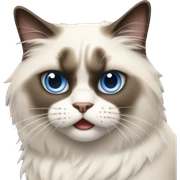 angry ragdoll cat sticker