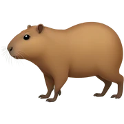capybara sticker