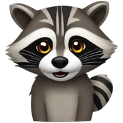 Raccoon sticker