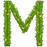 hawaiian H letter sticker