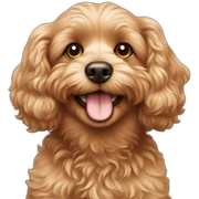 Smiling cavapoo sticker