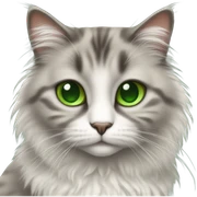 Cat sticker