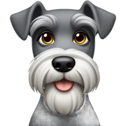 schanauzer  sticker