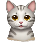 Cute cat sticker