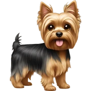 Yorkie sticker