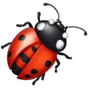 Lady bug sticker