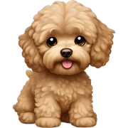 brown maltipoo sticker