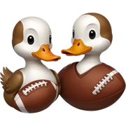 Football ducks sticker