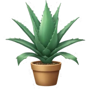 Agave plant sticker