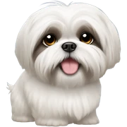 White Shih Tzu sticker