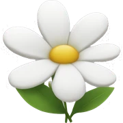white flowers sticker