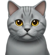 british shorthair cat sticker