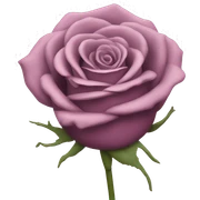 Mauve colored rose  sticker