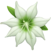 Moonflower sticker