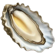 oyster sticker
