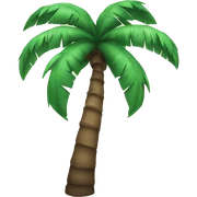 Palm tree sticker