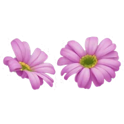 Flower فتاه شعرها وردي ولديها وشم قلب تحت عينها و شعرها طويل sticker