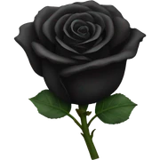 Black rose sticker
