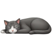 sleeping cat sticker