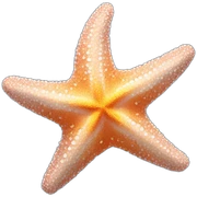 starfish sticker