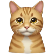 Cat cat sticker