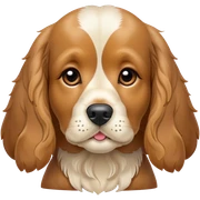 Cocker Spaniel süß sticker