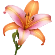 pink and orange lilies  sticker