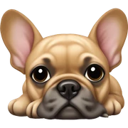 Fawn frenchie laying  sticker