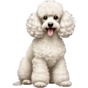 poodles sticker