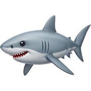 Small shark 🦈 sticker