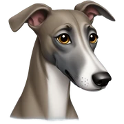 Greyhound  sticker