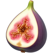 Fig sticker