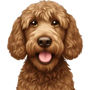 brown labradoodle  sticker