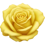 yellow rose sticker