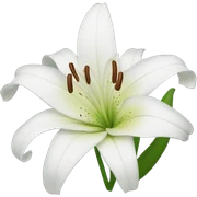 Lily sticker