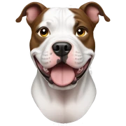 Pitbull sticker