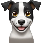 Black and white dog with standing ears, Brown eyes and a smile  sticker