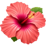 Hibiscus flower sticker