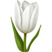 white tulip sticker